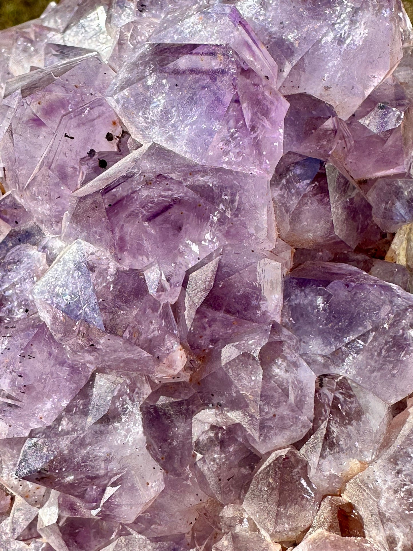 Brazilian Amethyst Quartz Cluster