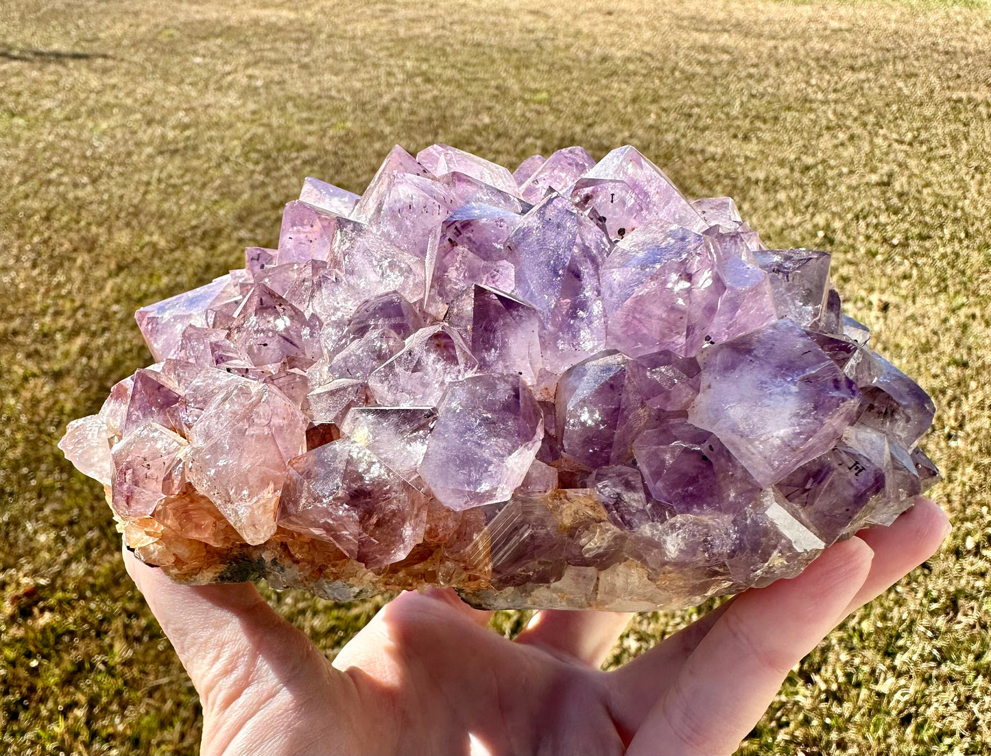 Brazilian Amethyst Quartz Cluster