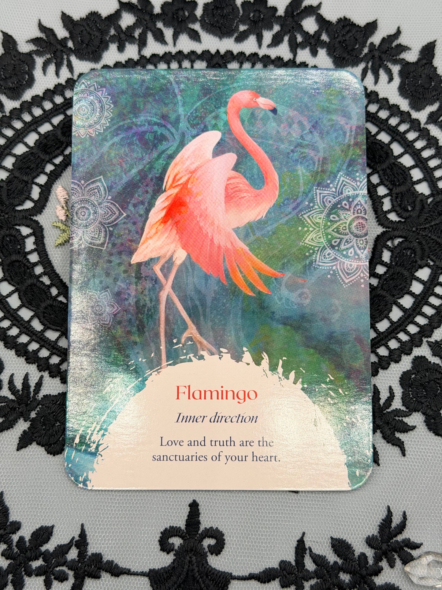Oracle of the Birds Deck