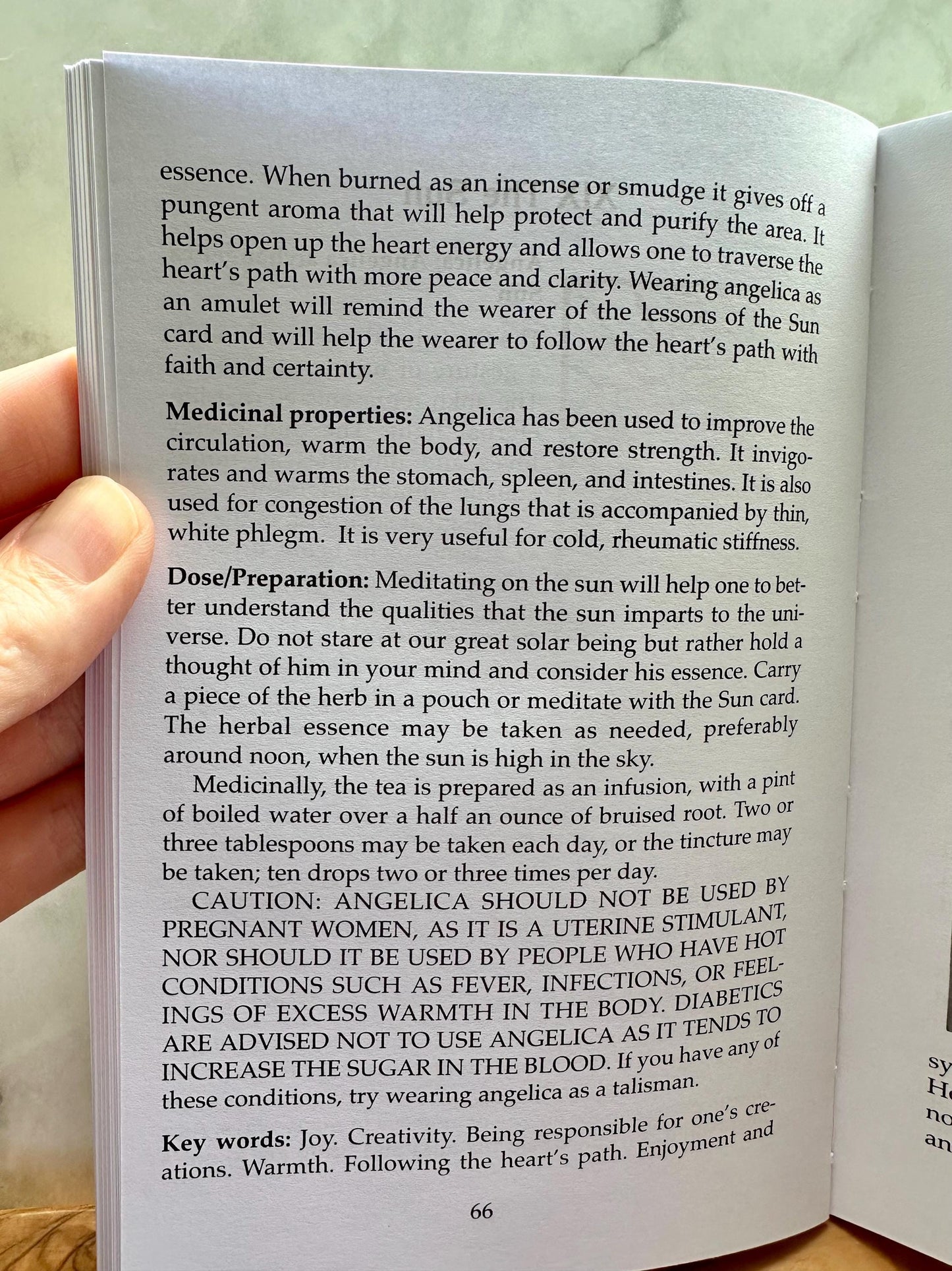 The Spirit of Herbs: A Guide to the Herbal Tarot