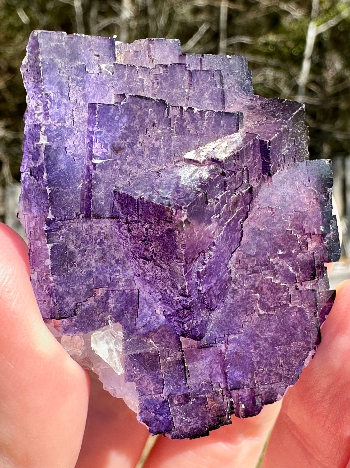 Purple Fluorite, Muzquiz, Mexico