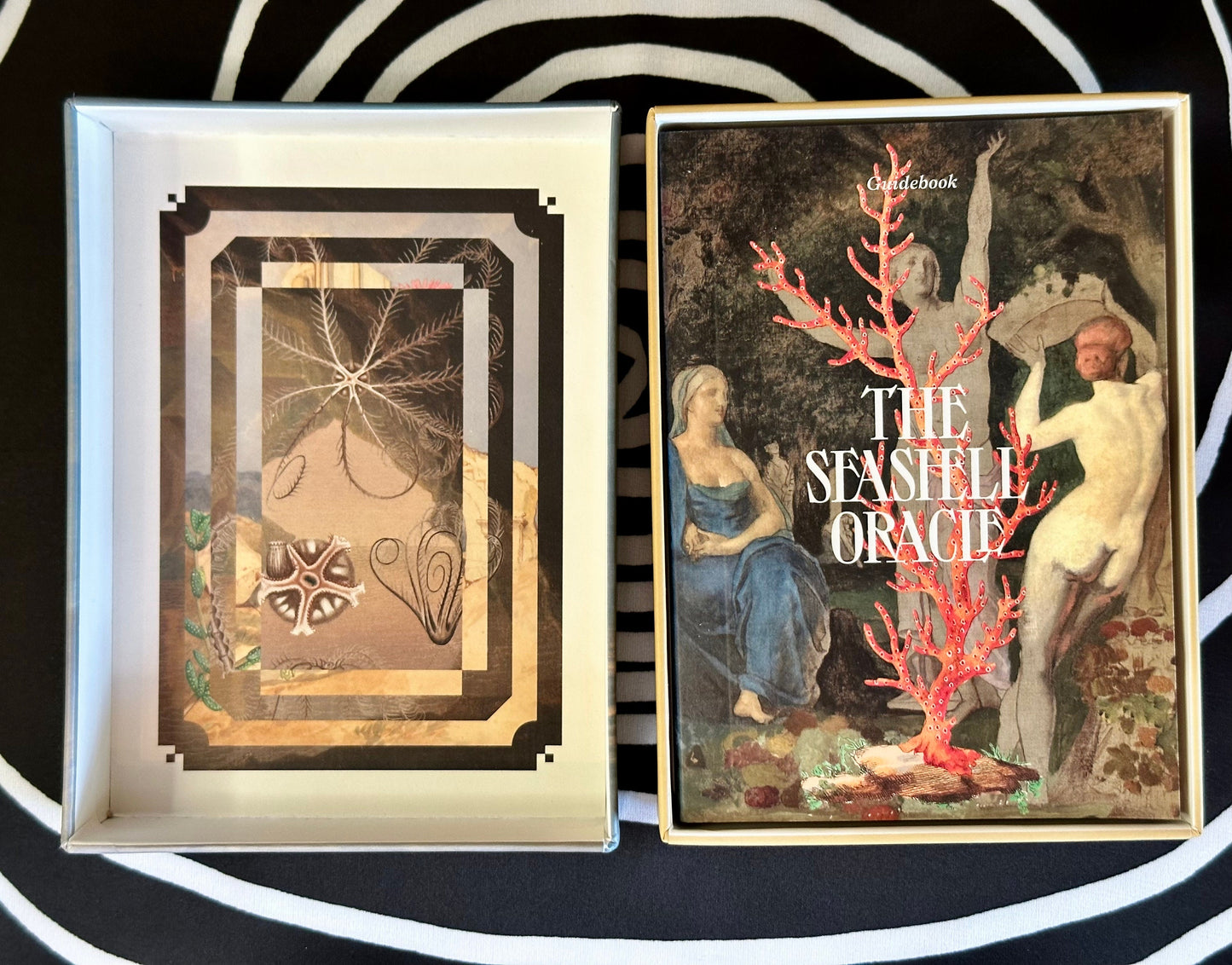 The Seashell Oracle Cards: 44 Card Deck for Divination