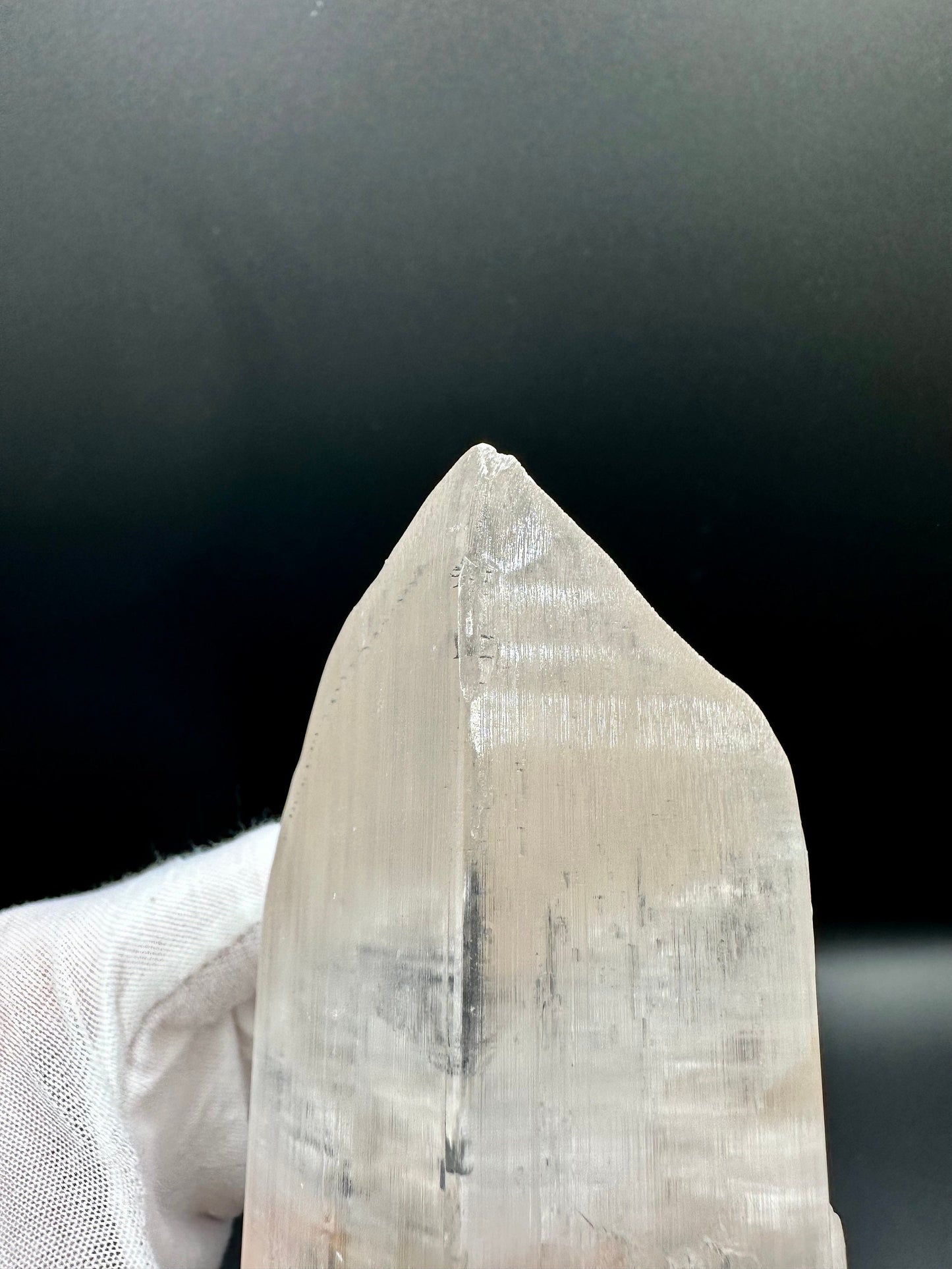 Naica Selenite Crystal Mineral Collector's Grade Specimen