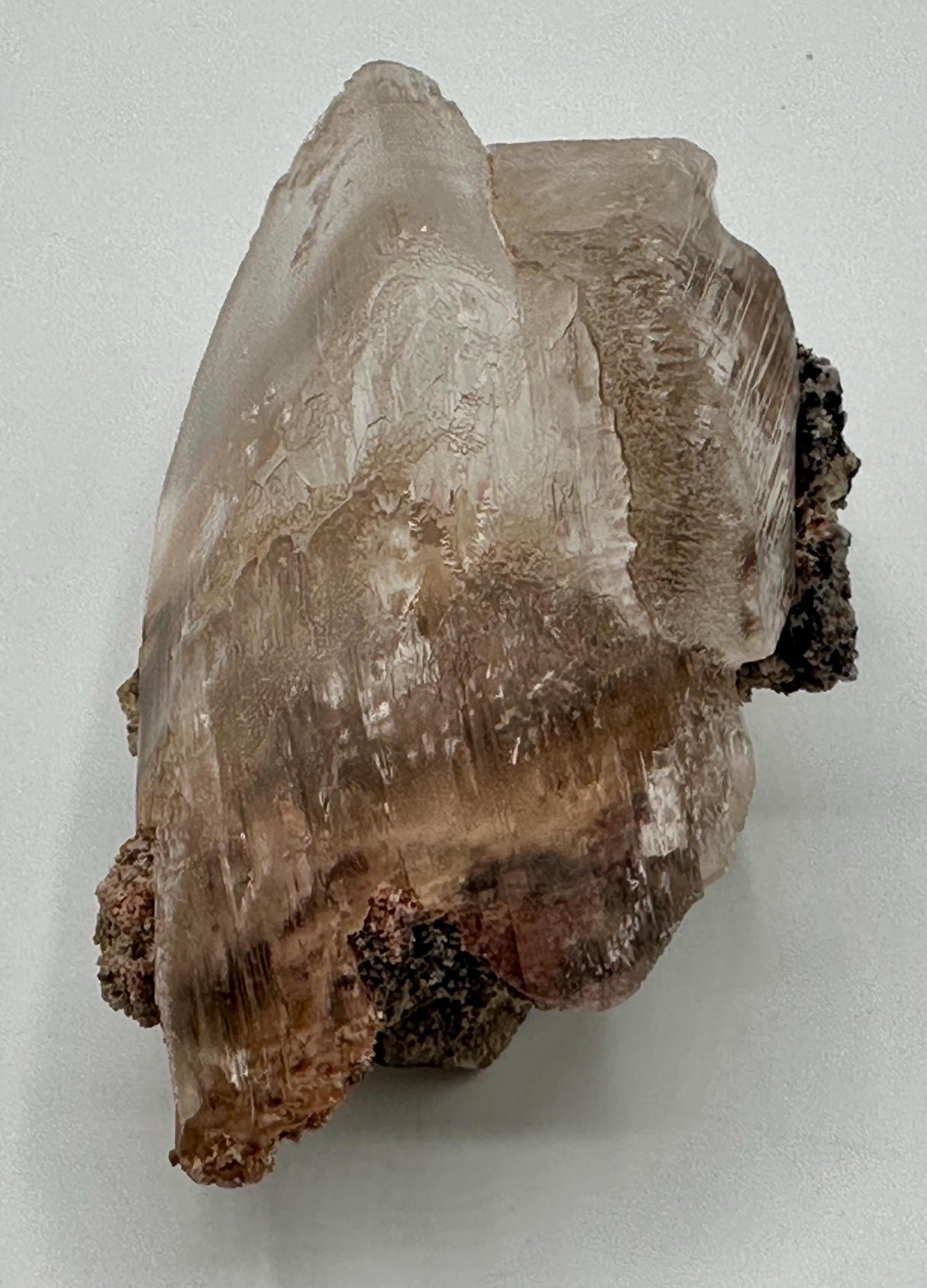 Naica Selenite Crystal with Moving Enhydro, Gypsum Selenite with Mobile Enhydro