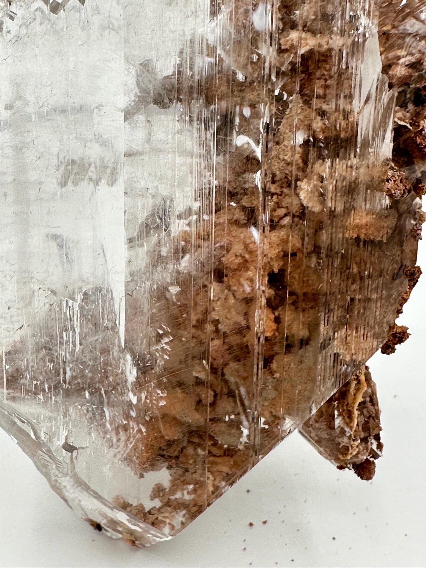 Bermejillo Selenite Crystal Mineral Specimen with Matrix