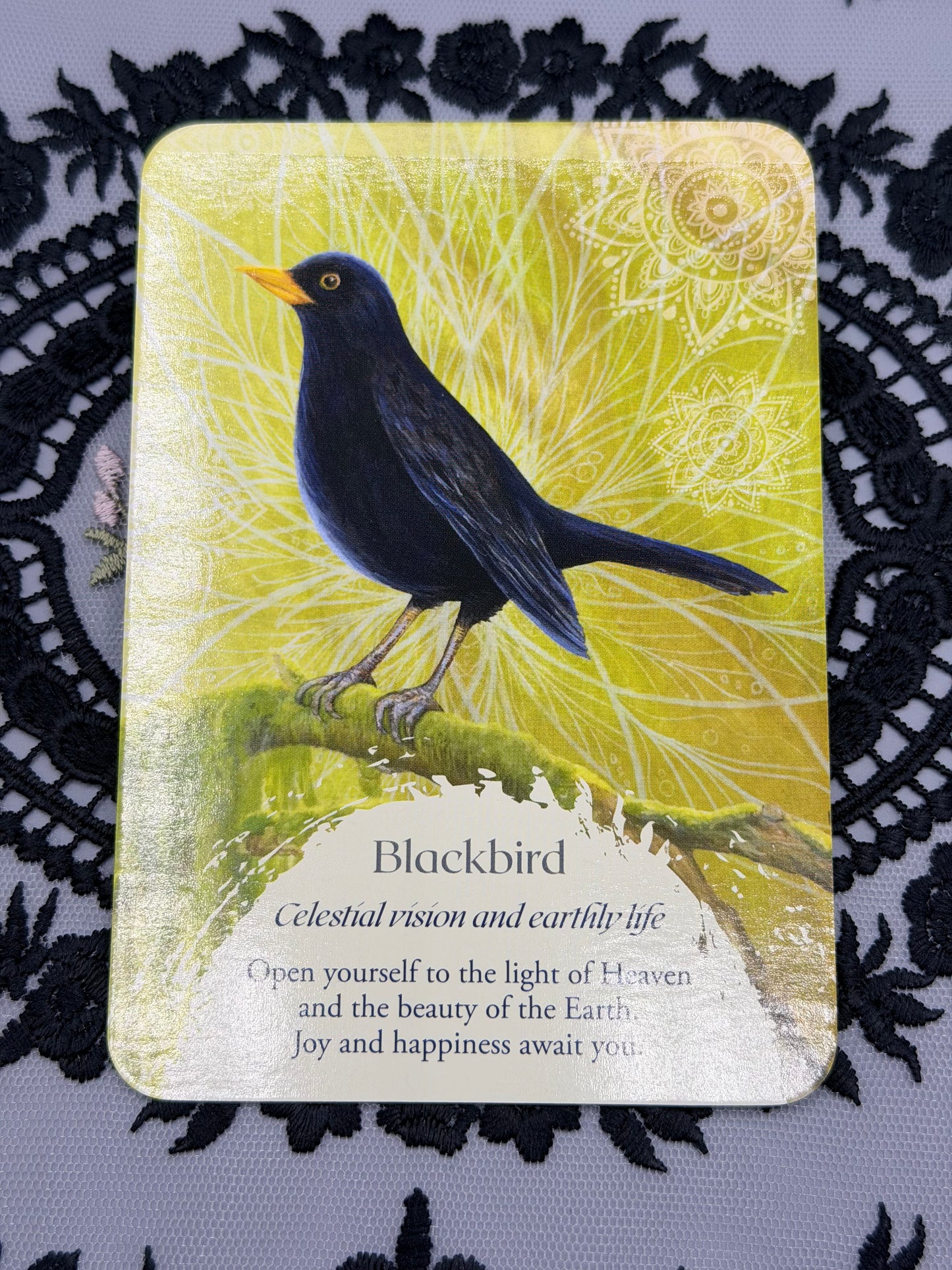Oracle of the Birds Deck