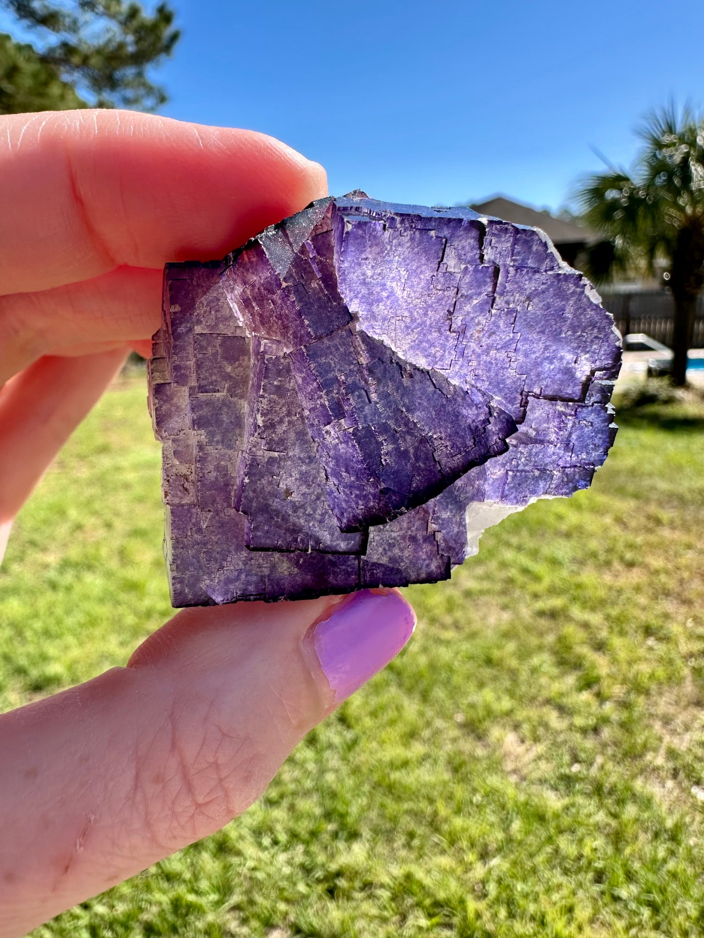 Purple Fluorite, Muzquiz, Mexico