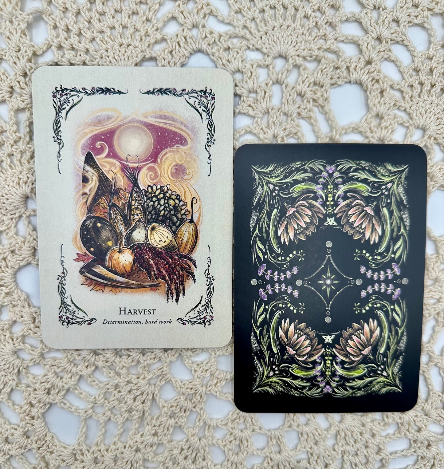 The Green Witch’s Oracle Deck, 78 Card Deck by Arin Murphy-Hiscock