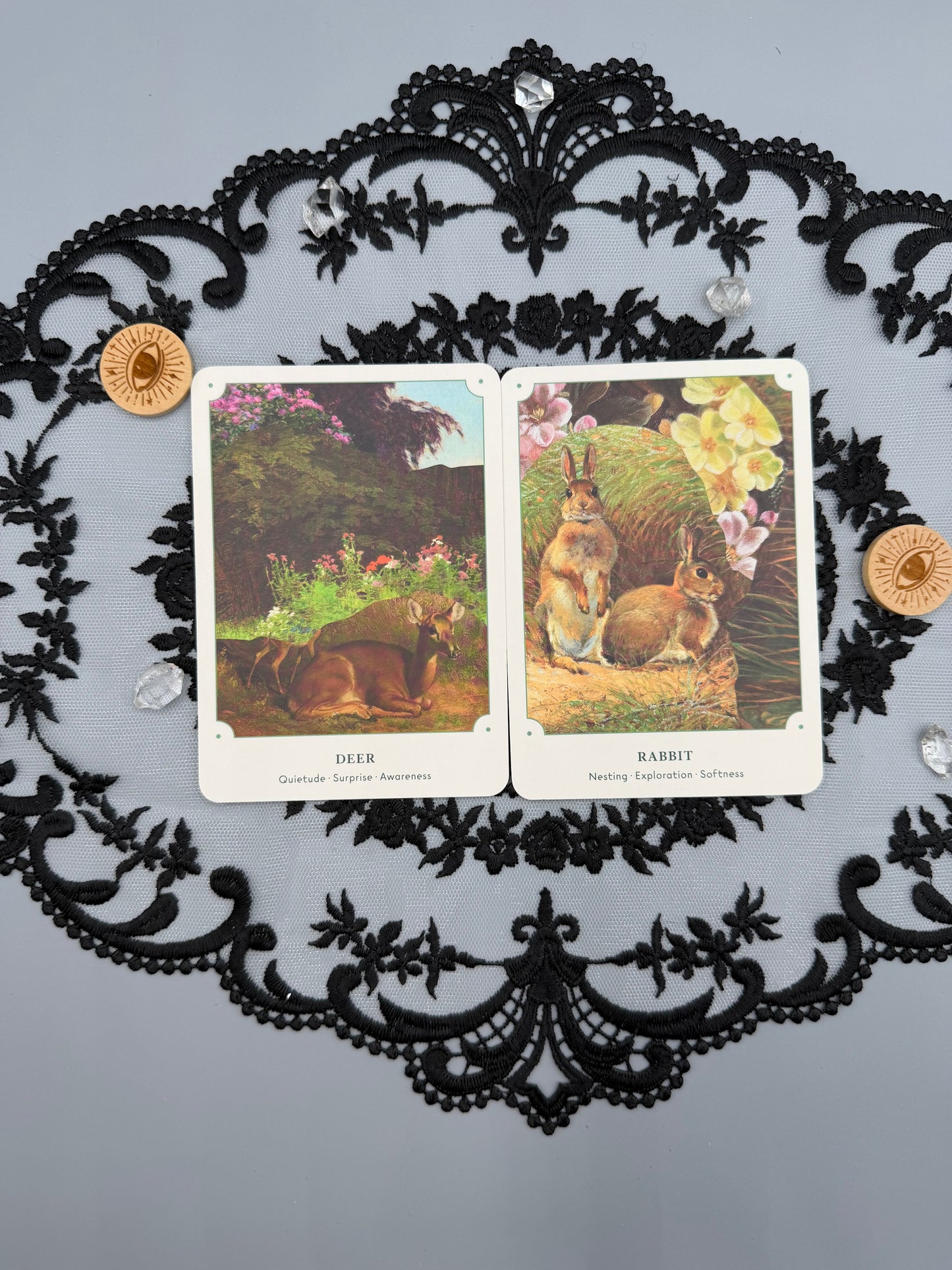 The Garden Oracle Card Deck