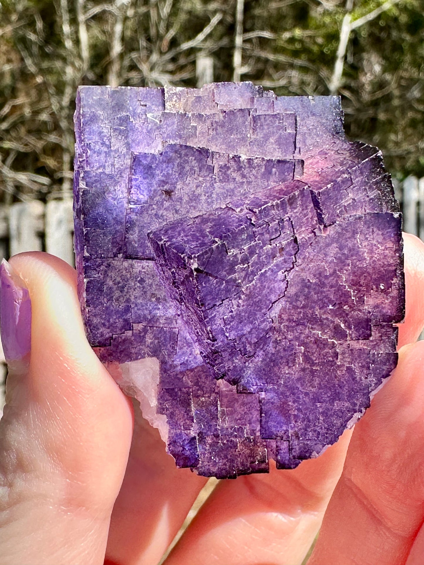 Purple Fluorite, Muzquiz, Mexico