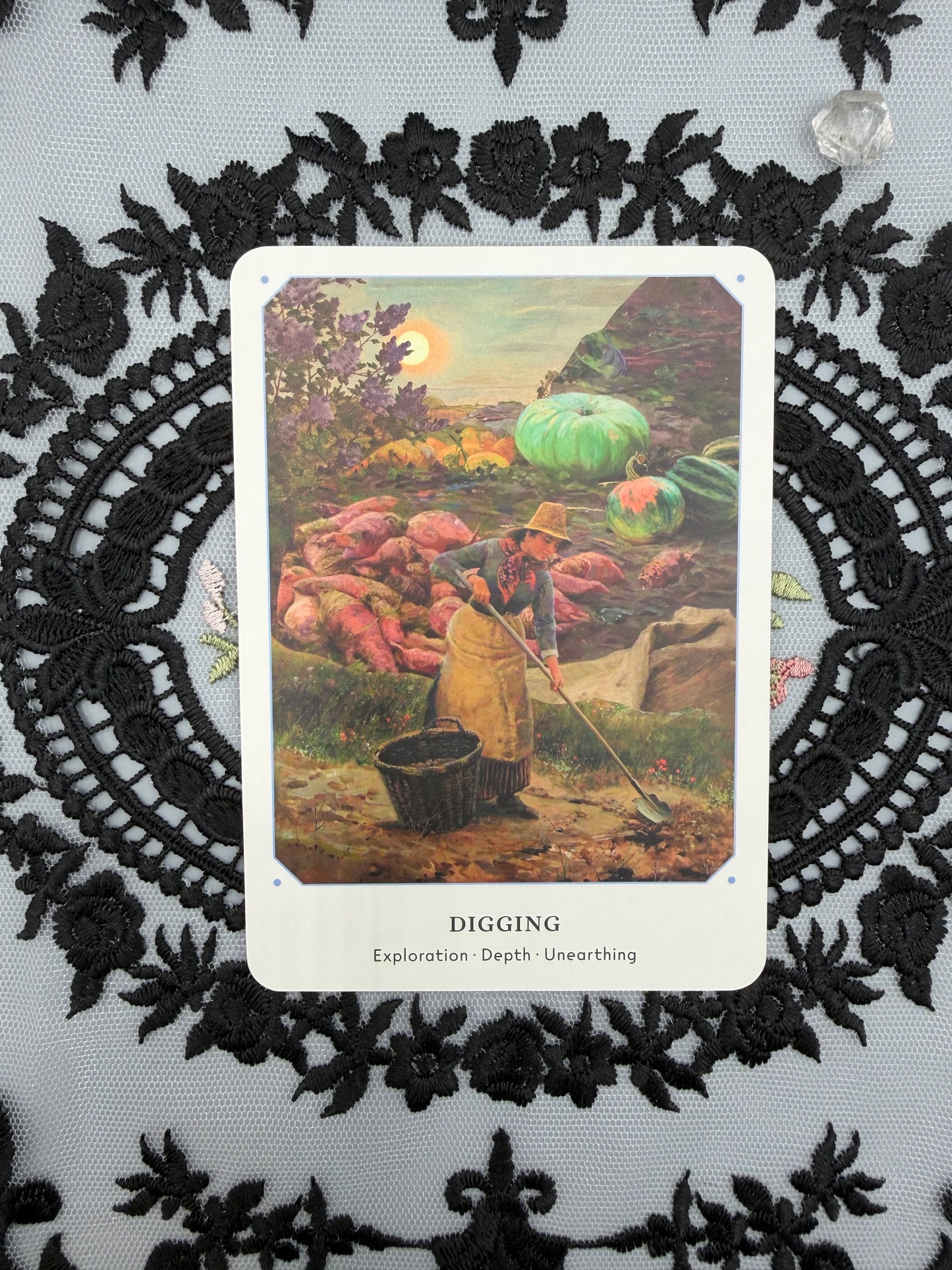 The Garden Oracle Card Deck