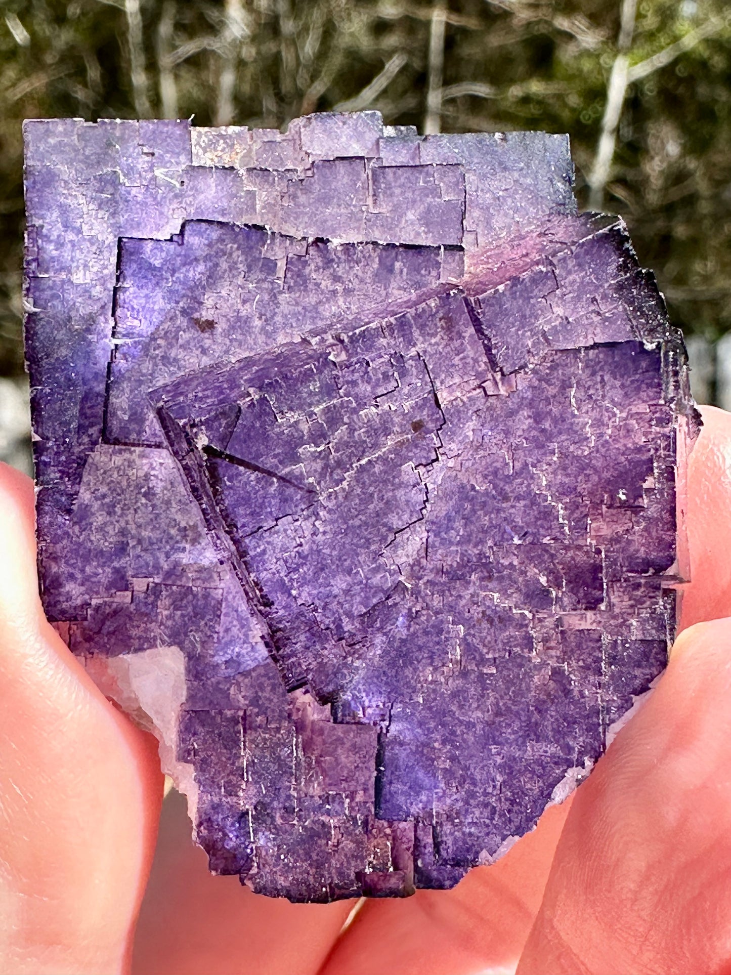 Purple Fluorite, Muzquiz, Mexico