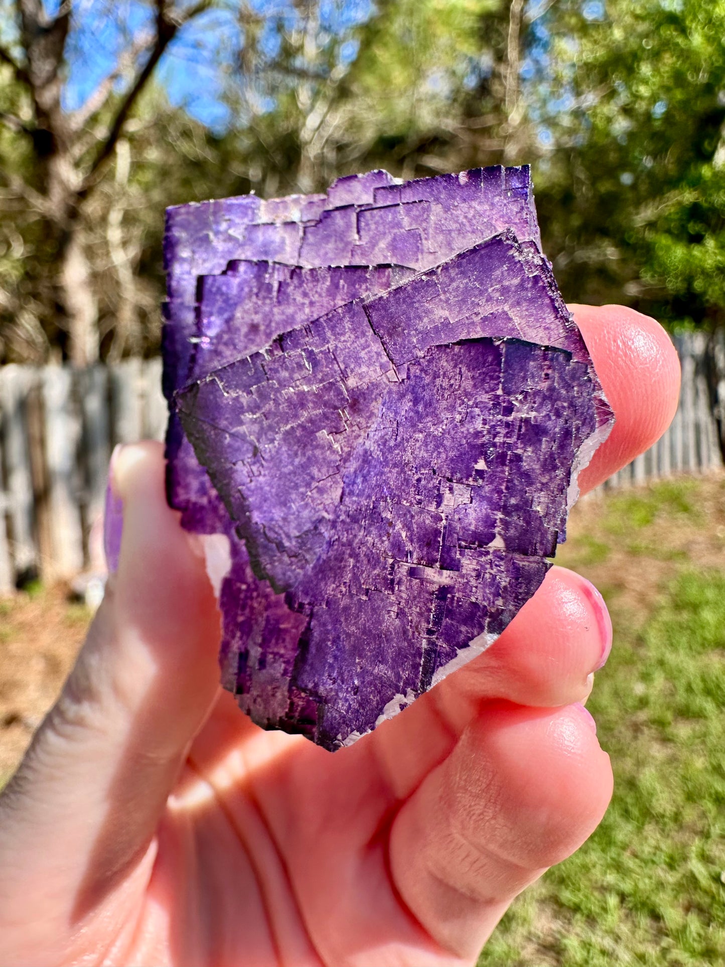 Purple Fluorite, Muzquiz, Mexico