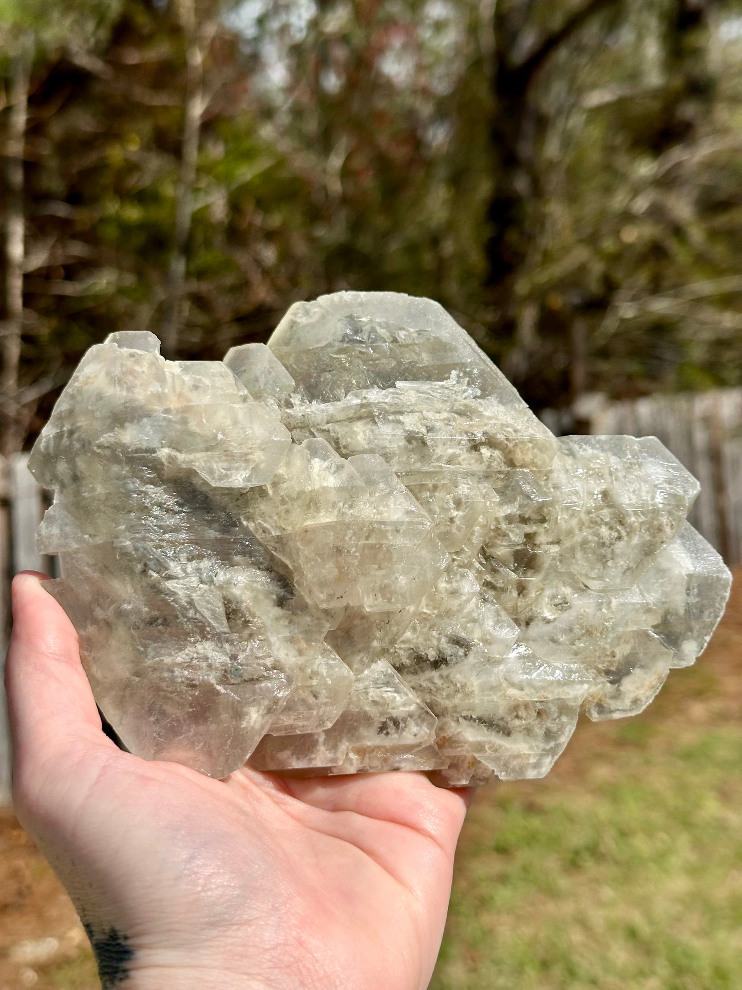 Elestial Selenite Crystal Specimen