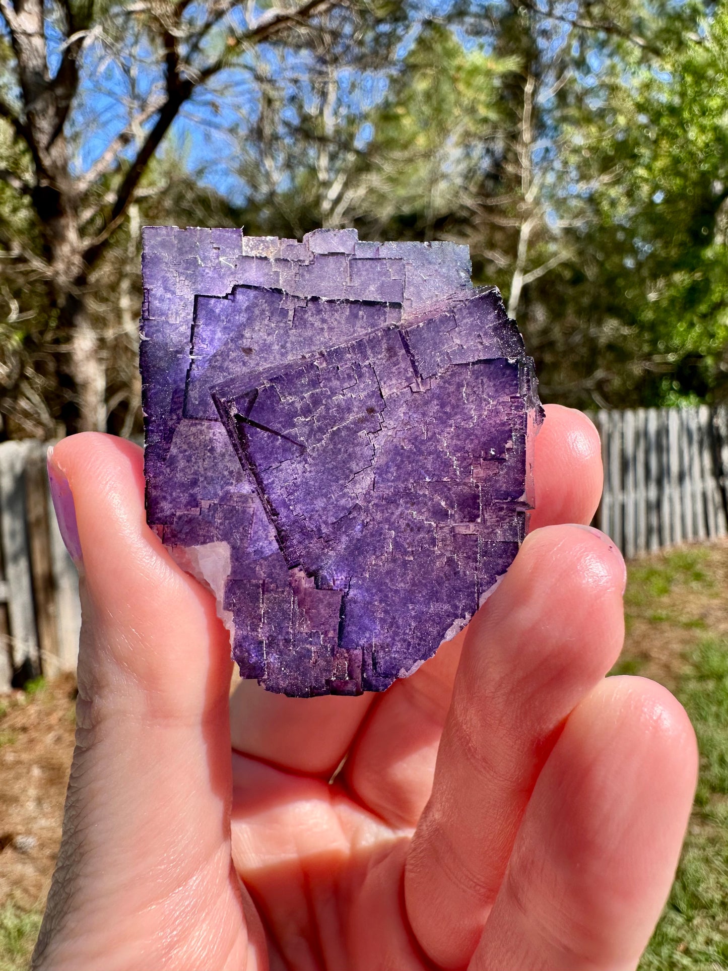 Purple Fluorite, Muzquiz, Mexico