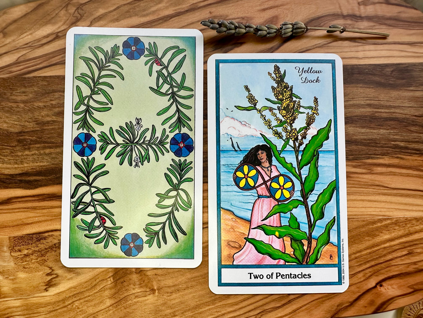 The Herbal Tarot: A 78 card deck with guidebook