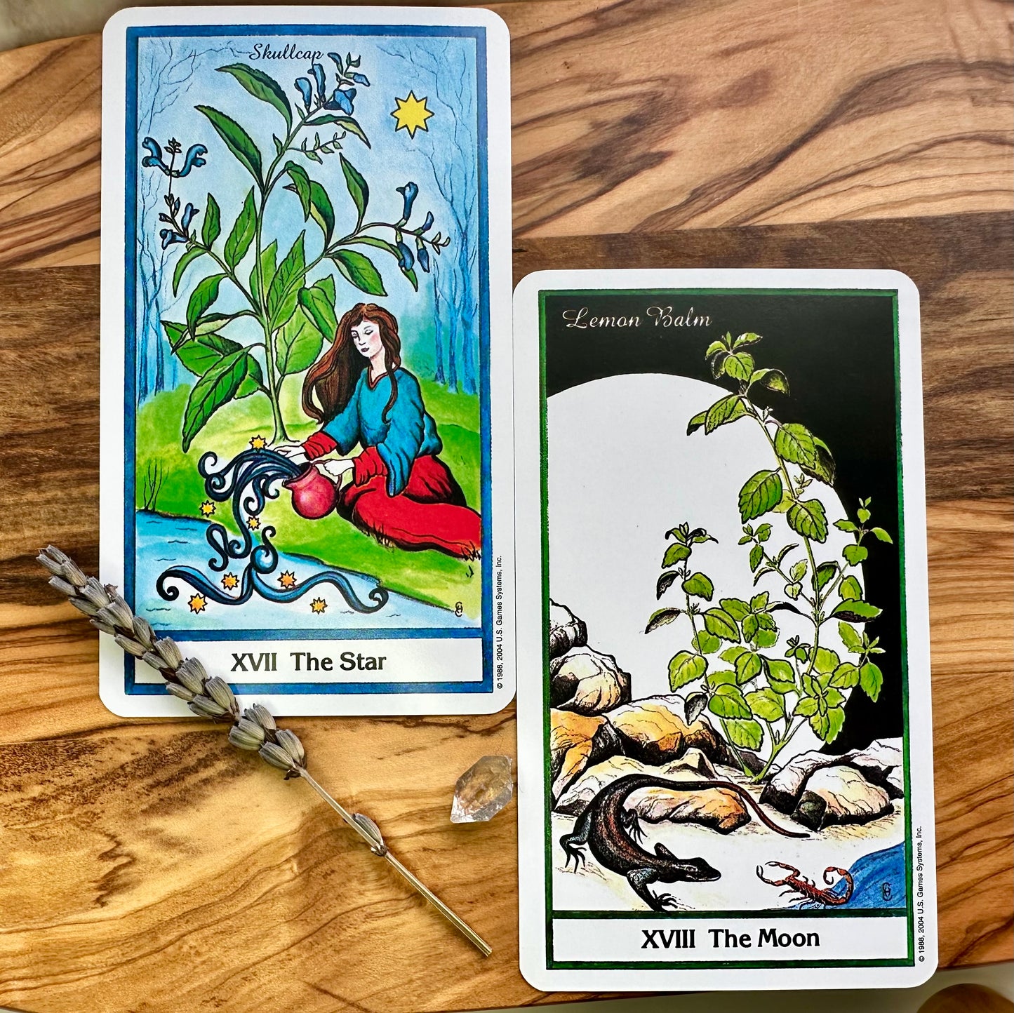 The Herbal Tarot: A 78 card deck with guidebook