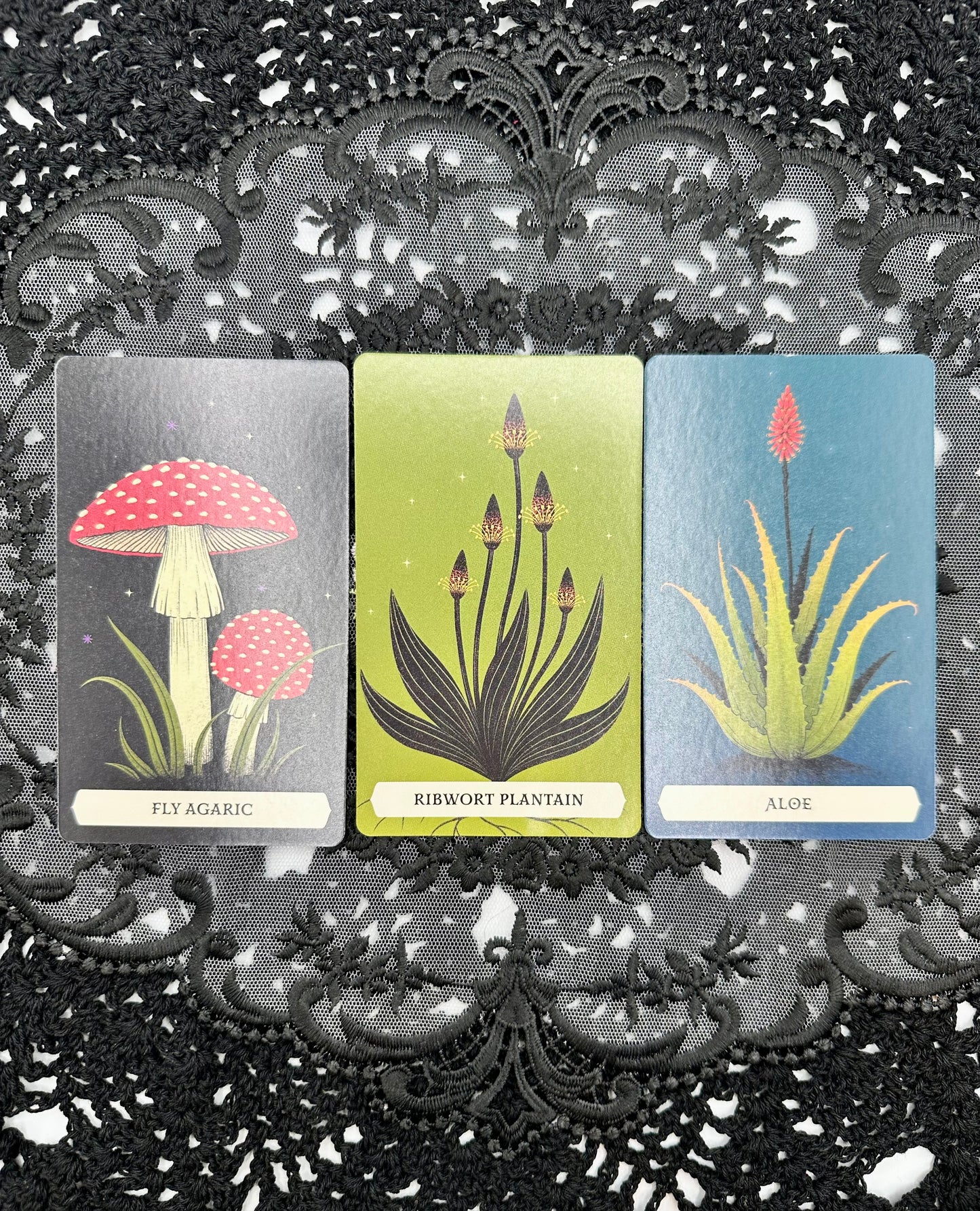 The Secret Oracle of the Green Witch: 50 Cards and Guidebook for Divination and Magic