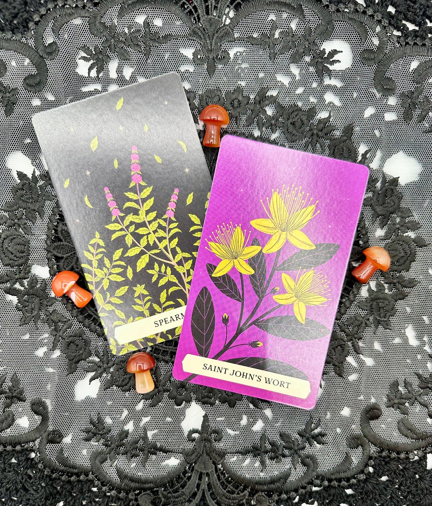 The Secret Oracle of the Green Witch: 50 Cards and Guidebook for Divination and Magic