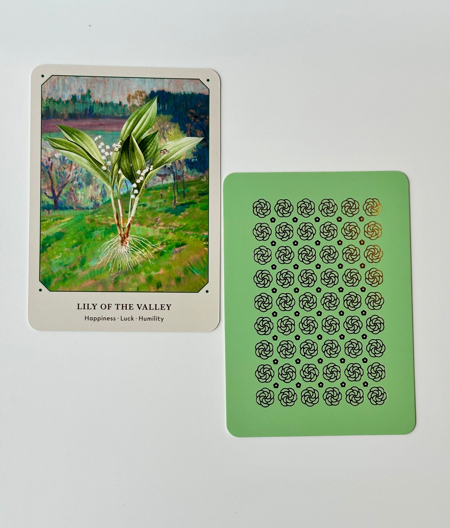 The Flower Oracle Deck, a 44 Card Divination Deck and Guidebook