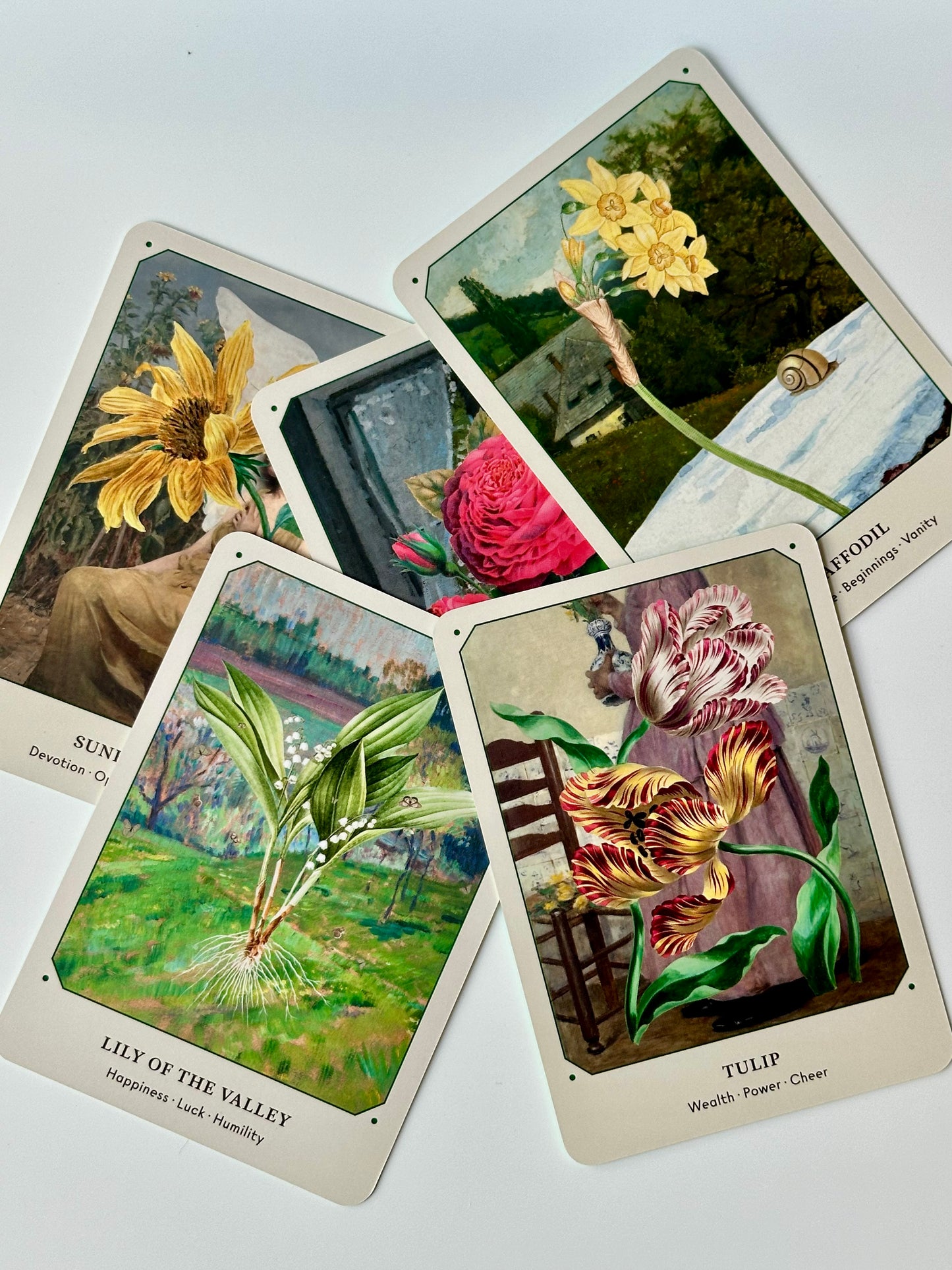 The Flower Oracle Deck, a 44 Card Divination Deck and Guidebook