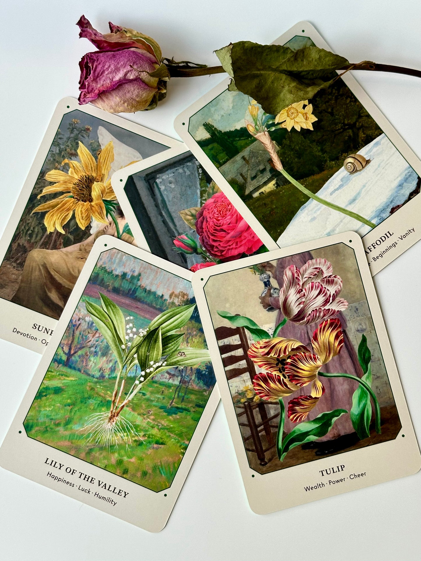 The Flower Oracle Deck, a 44 Card Divination Deck and Guidebook
