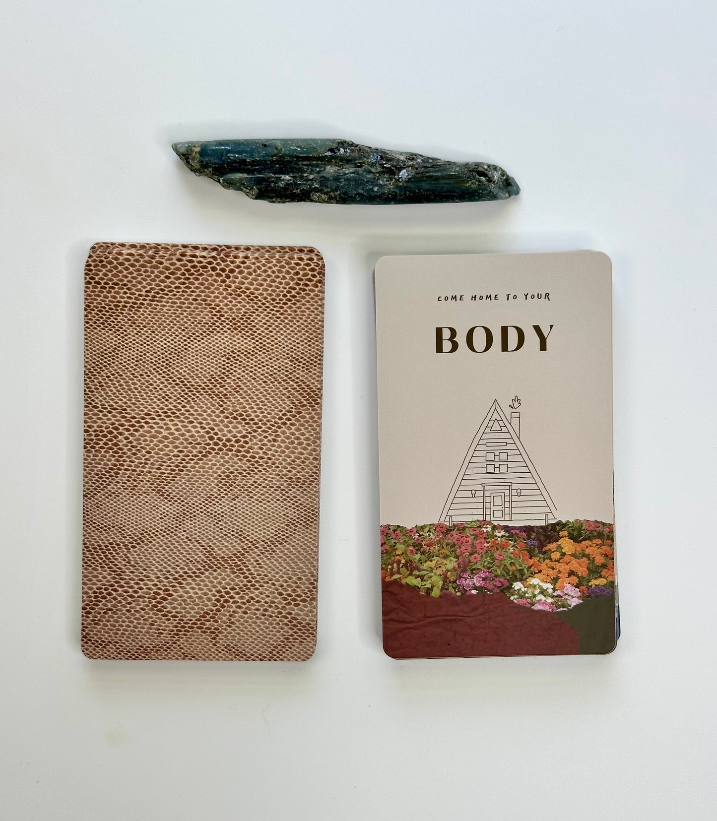 We the Wild Oracle Cards: 48 Card Deck with Poetry Guidebook