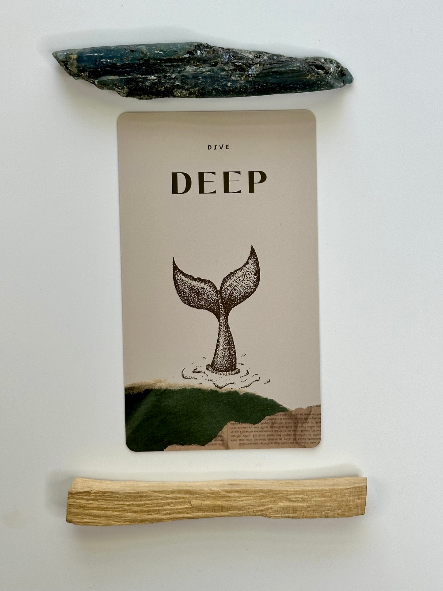 We the Wild Oracle Cards: 48 Card Deck with Poetry Guidebook