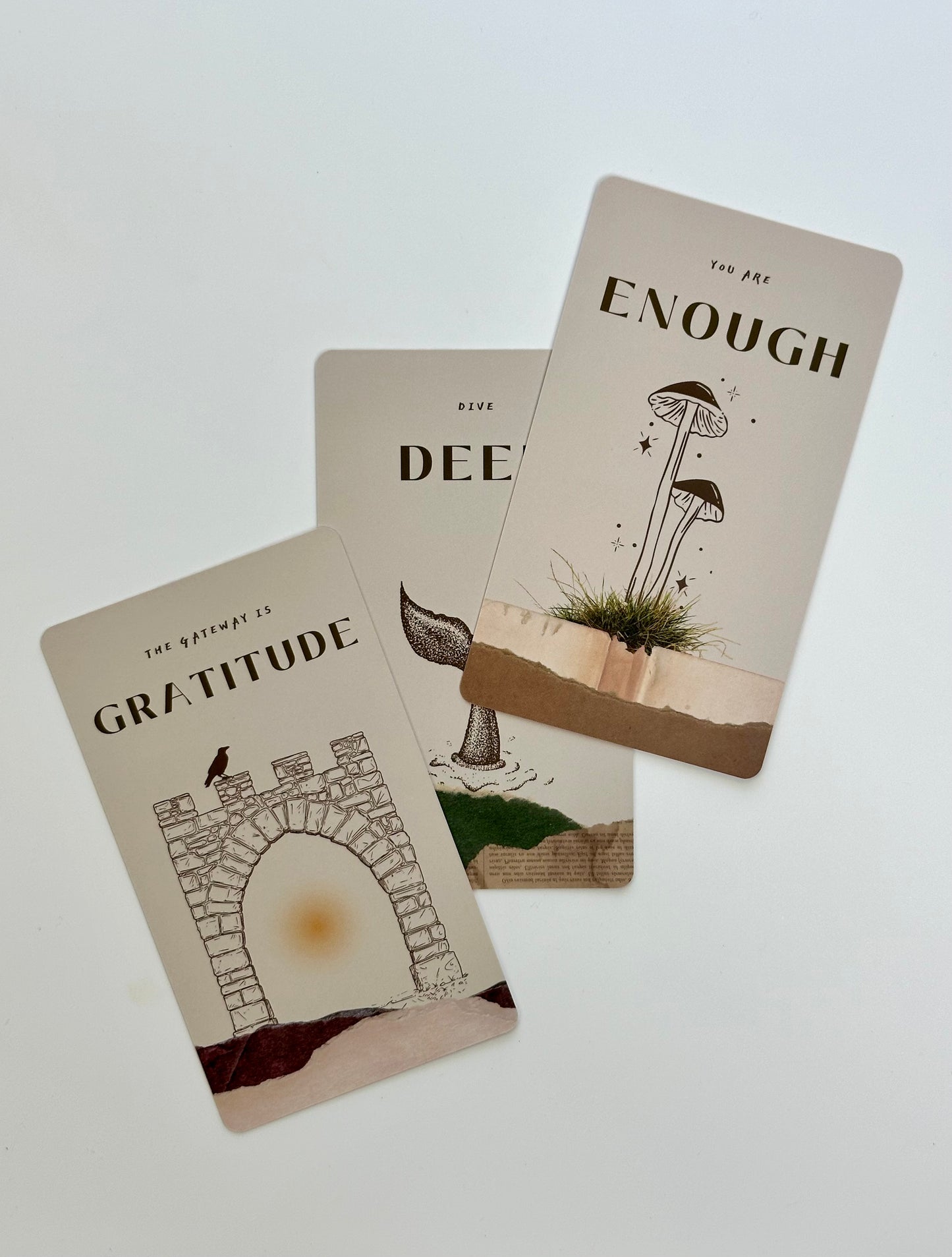 We the Wild Oracle Cards: 48 Card Deck with Poetry Guidebook