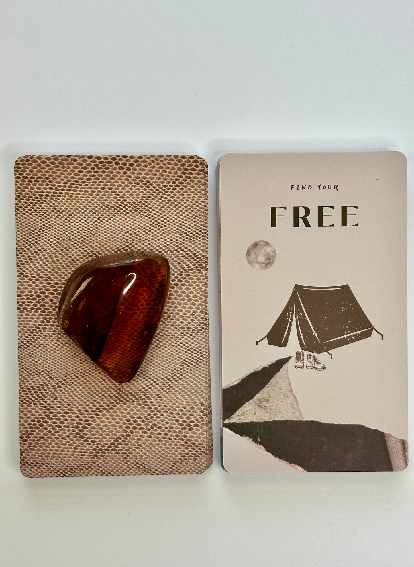 We the Wild Oracle Cards: 48 Card Deck with Poetry Guidebook