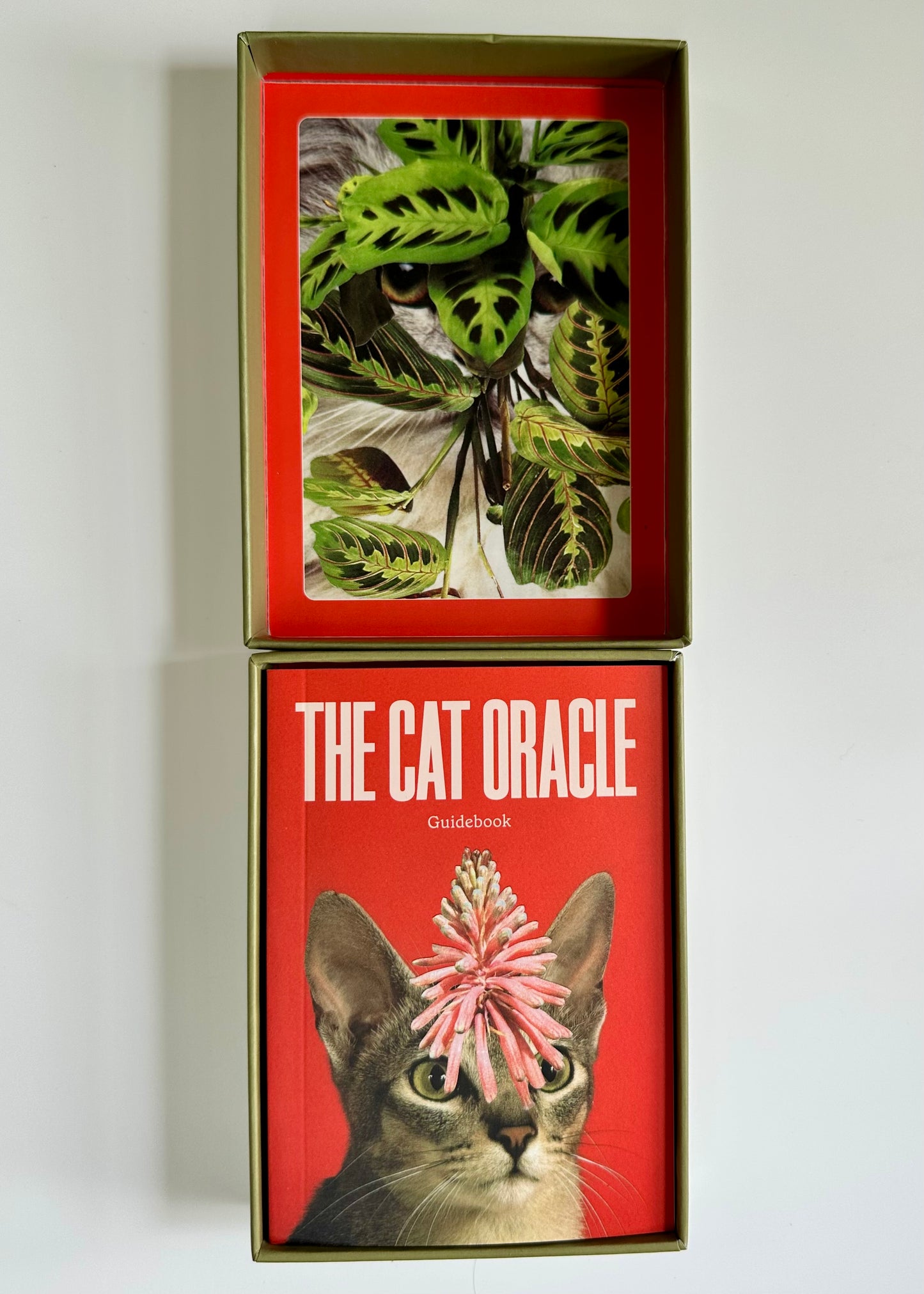 The Cat Oracle Deck: 33 Card Deck and Guidebook for Divination and Feline Guidance