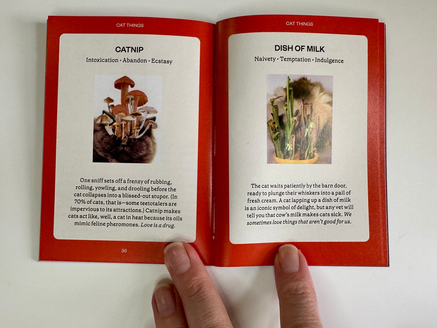 The Cat Oracle Deck: 33 Card Deck and Guidebook for Divination and Feline Guidance