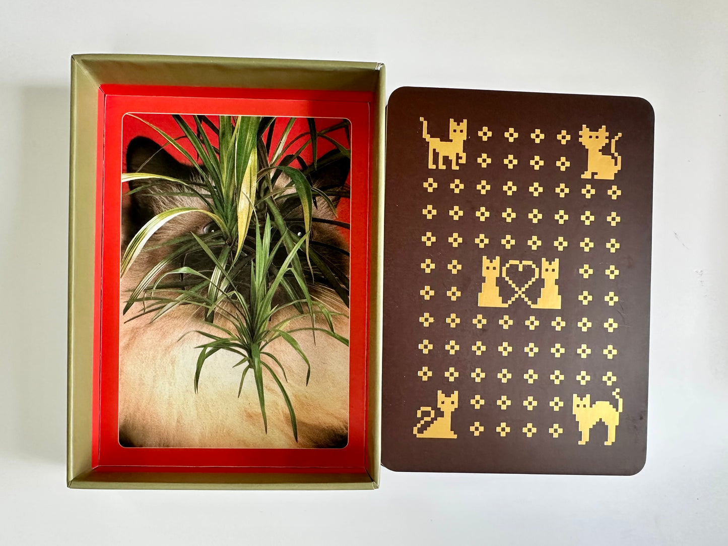 The Cat Oracle Deck: 33 Card Deck and Guidebook for Divination and Feline Guidance