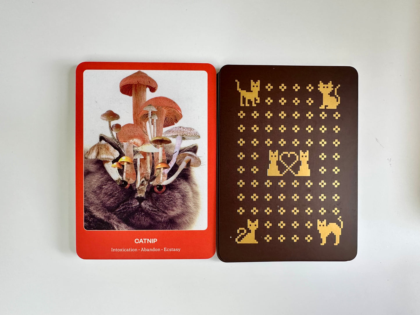 The Cat Oracle Deck: 33 Card Deck and Guidebook for Divination and Feline Guidance