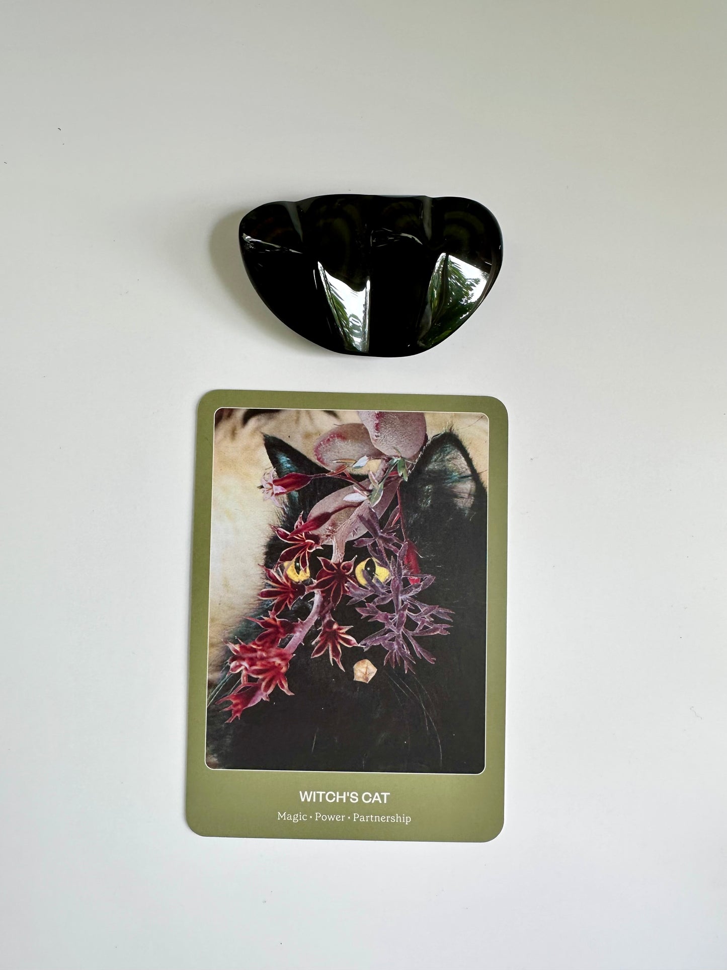 The Cat Oracle Deck: 33 Card Deck and Guidebook for Divination and Feline Guidance