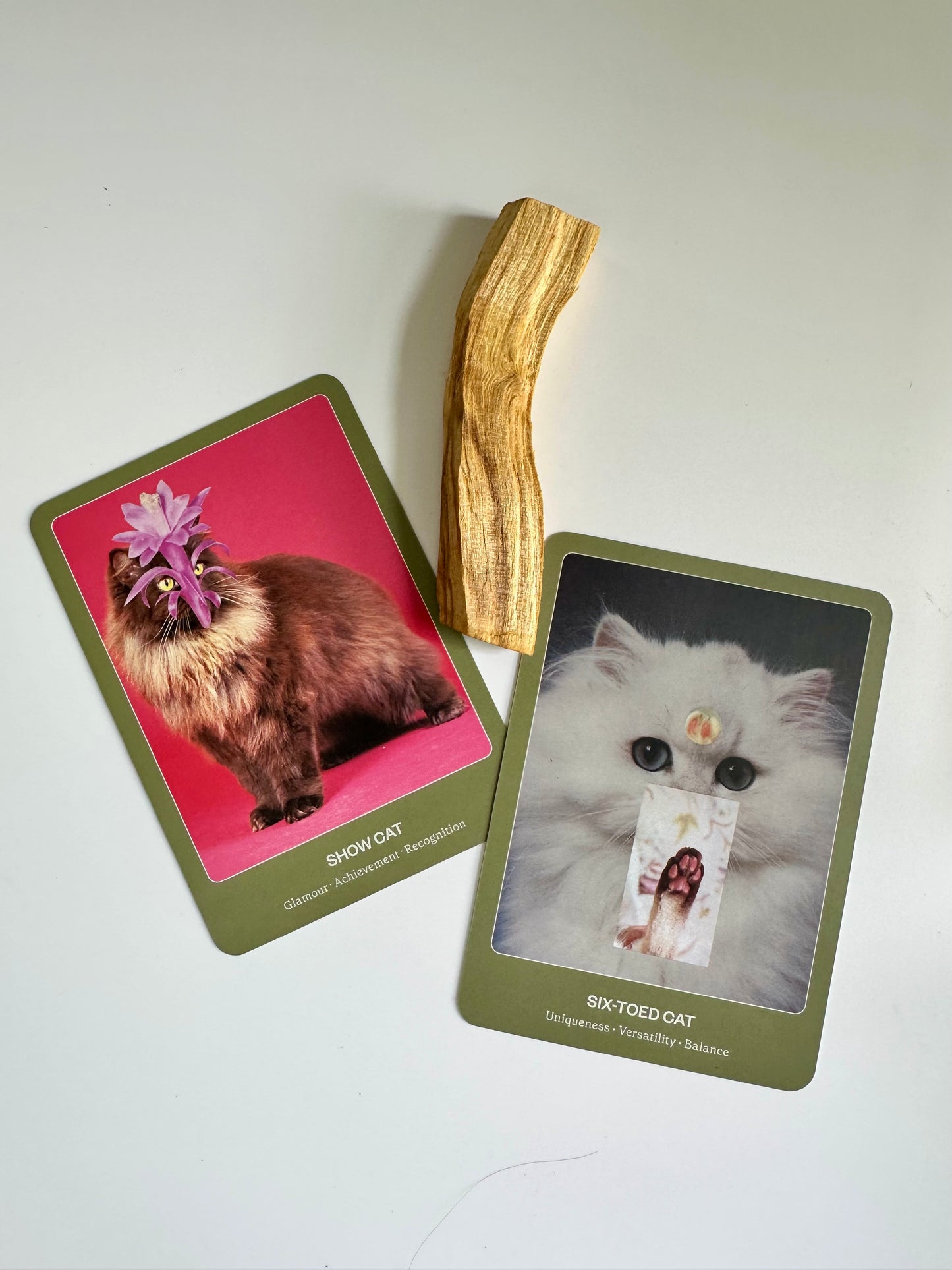 The Cat Oracle Deck: 33 Card Deck and Guidebook for Divination and Feline Guidance