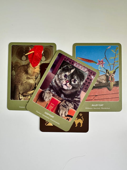 The Cat Oracle Deck: 33 Card Deck and Guidebook for Divination and Feline Guidance
