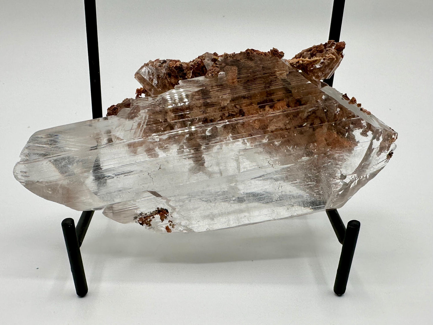 Bermejillo Selenite Crystal Mineral Specimen with Matrix