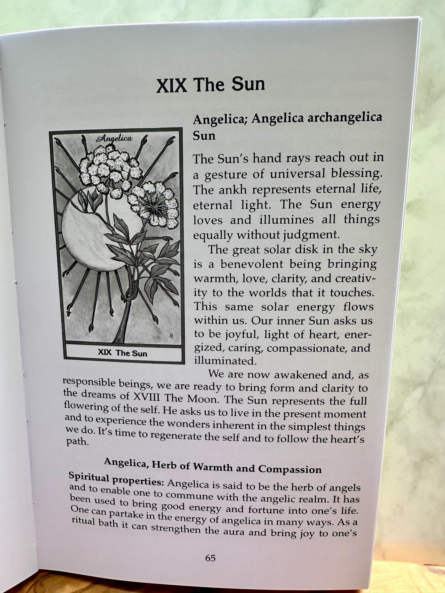 The Spirit of Herbs: A Guide to the Herbal Tarot