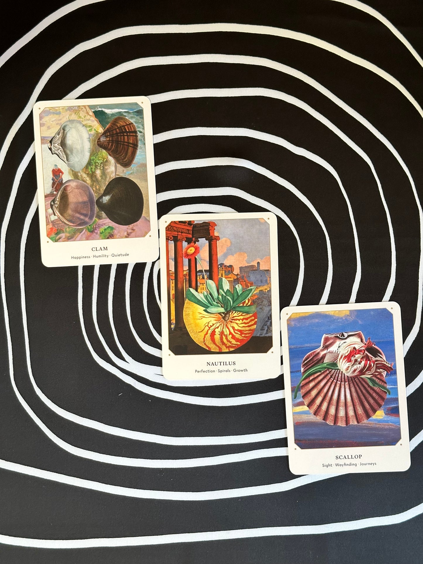 The Seashell Oracle Cards: 44 Card Deck for Divination