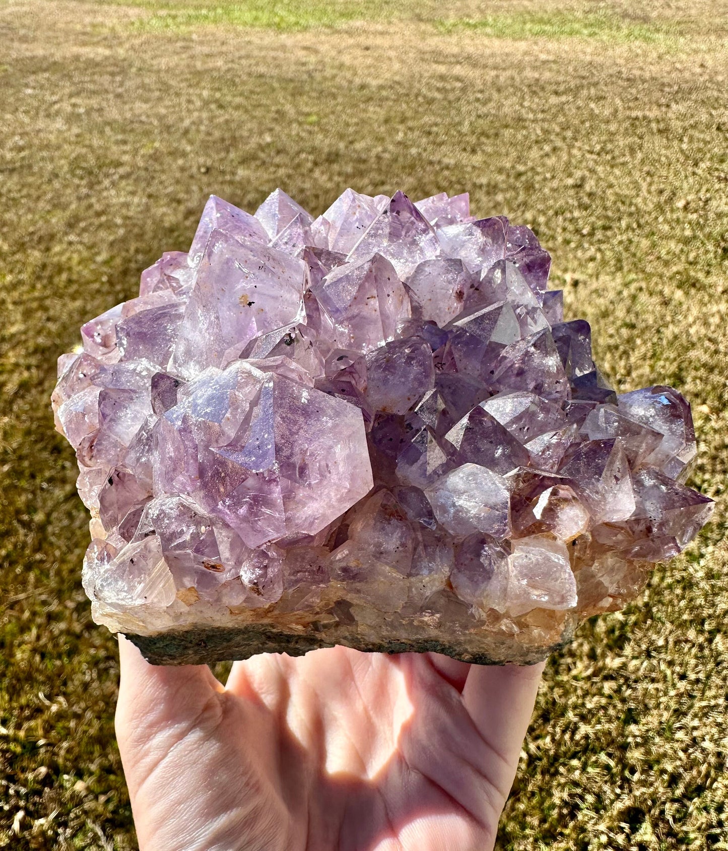 Brazilian Amethyst Quartz Cluster