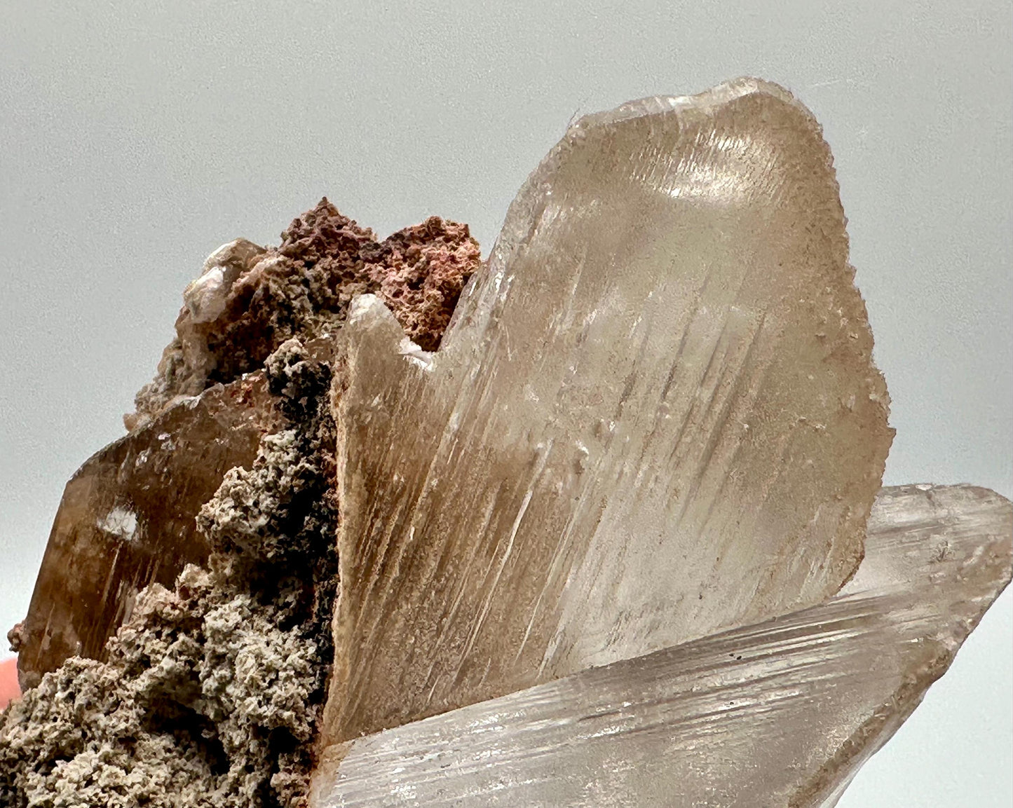 Naica Selenite Crystal with Moving Enhydro, Gypsum Selenite with Mobile Enhydro