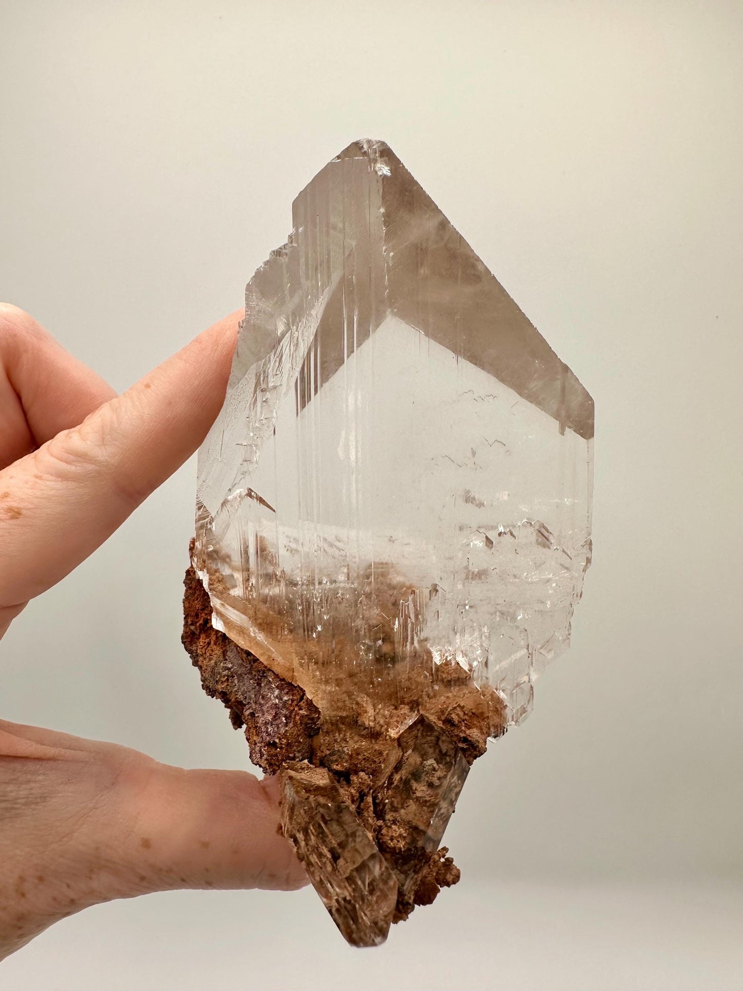 Durango Selenite Crystal Mineral Specimen with Matrix