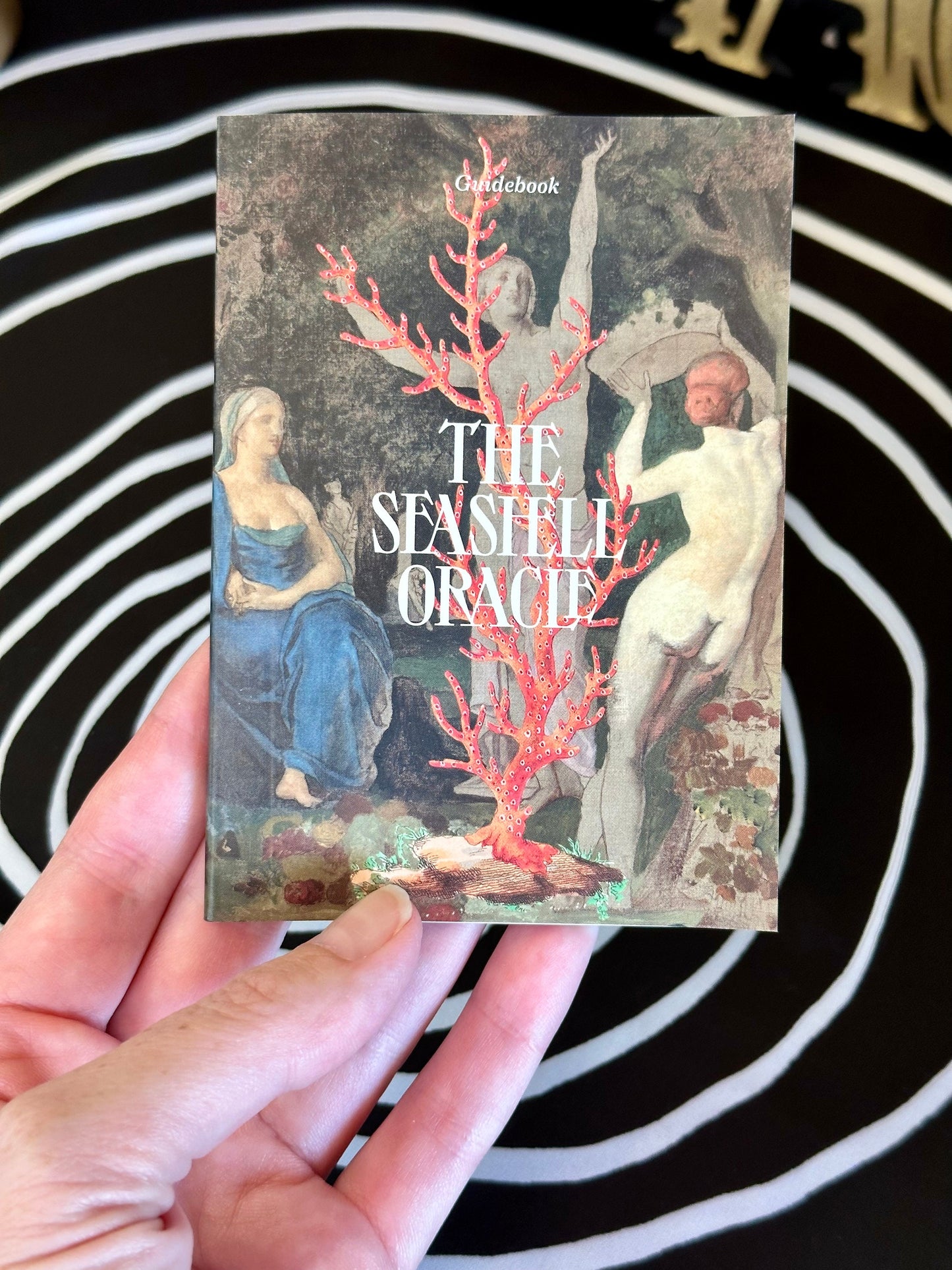 The Seashell Oracle Cards: 44 Card Deck for Divination