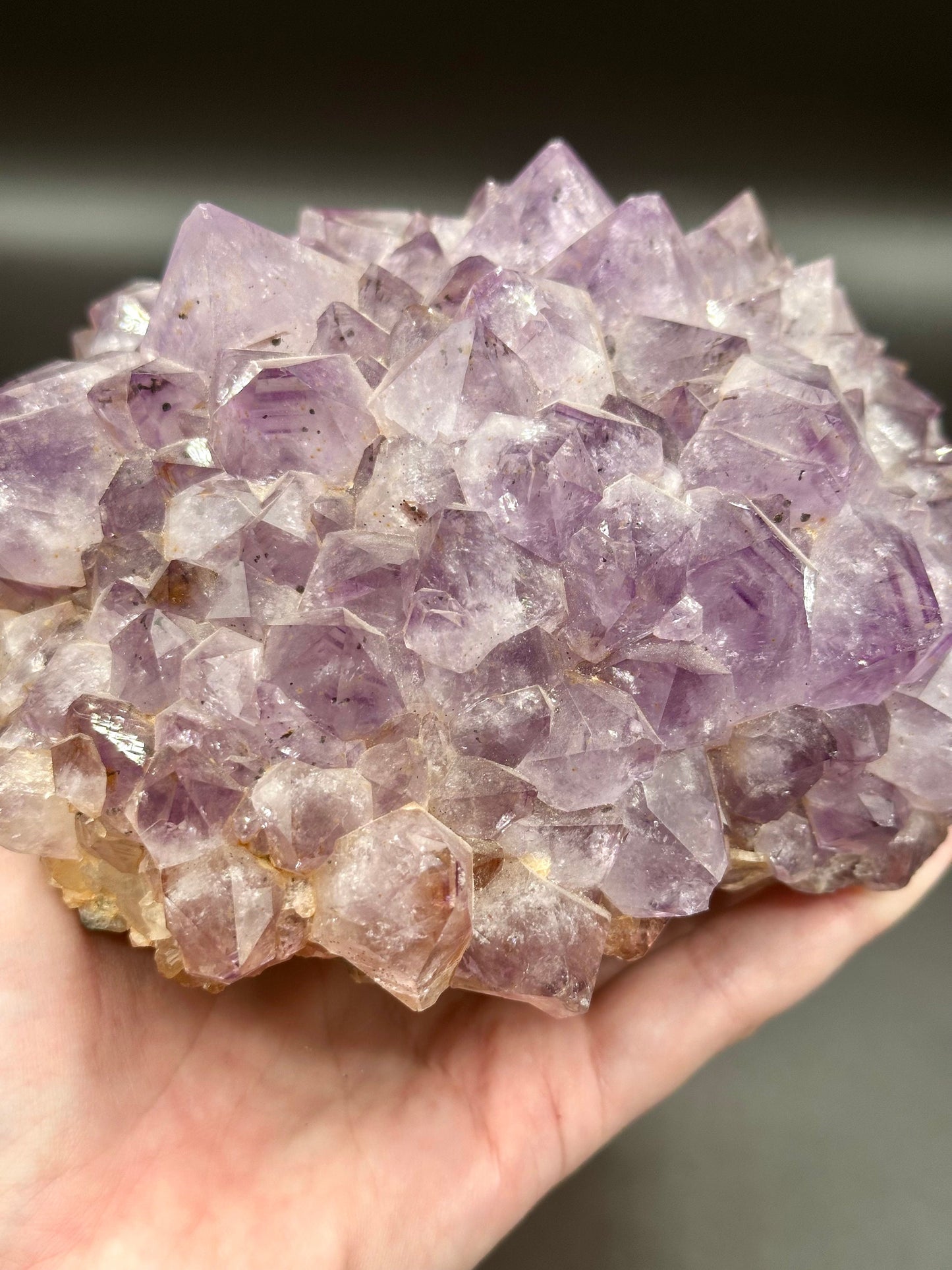 Brazilian Amethyst Quartz Cluster