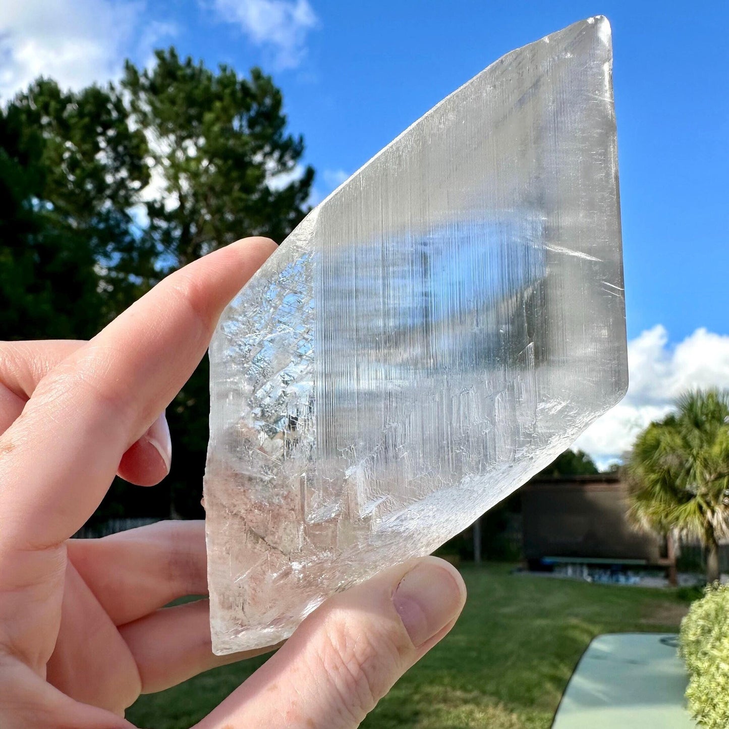 Naica Selenite Crystal Mineral Collector's Grade Specimen