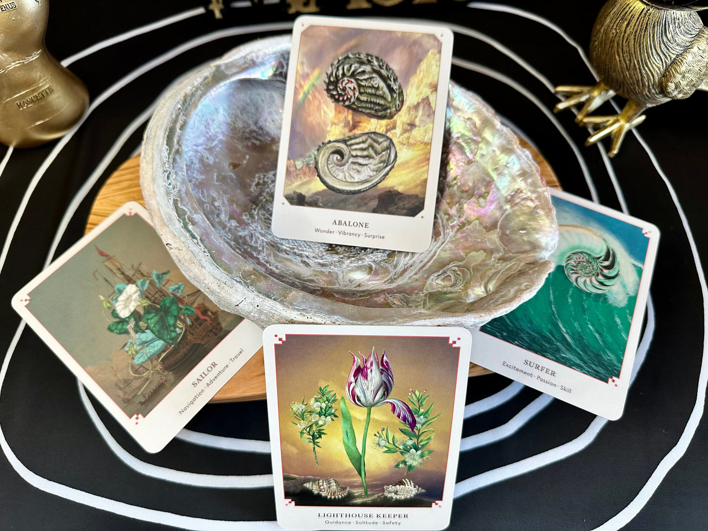 The Seashell Oracle Cards: 44 Card Deck for Divination