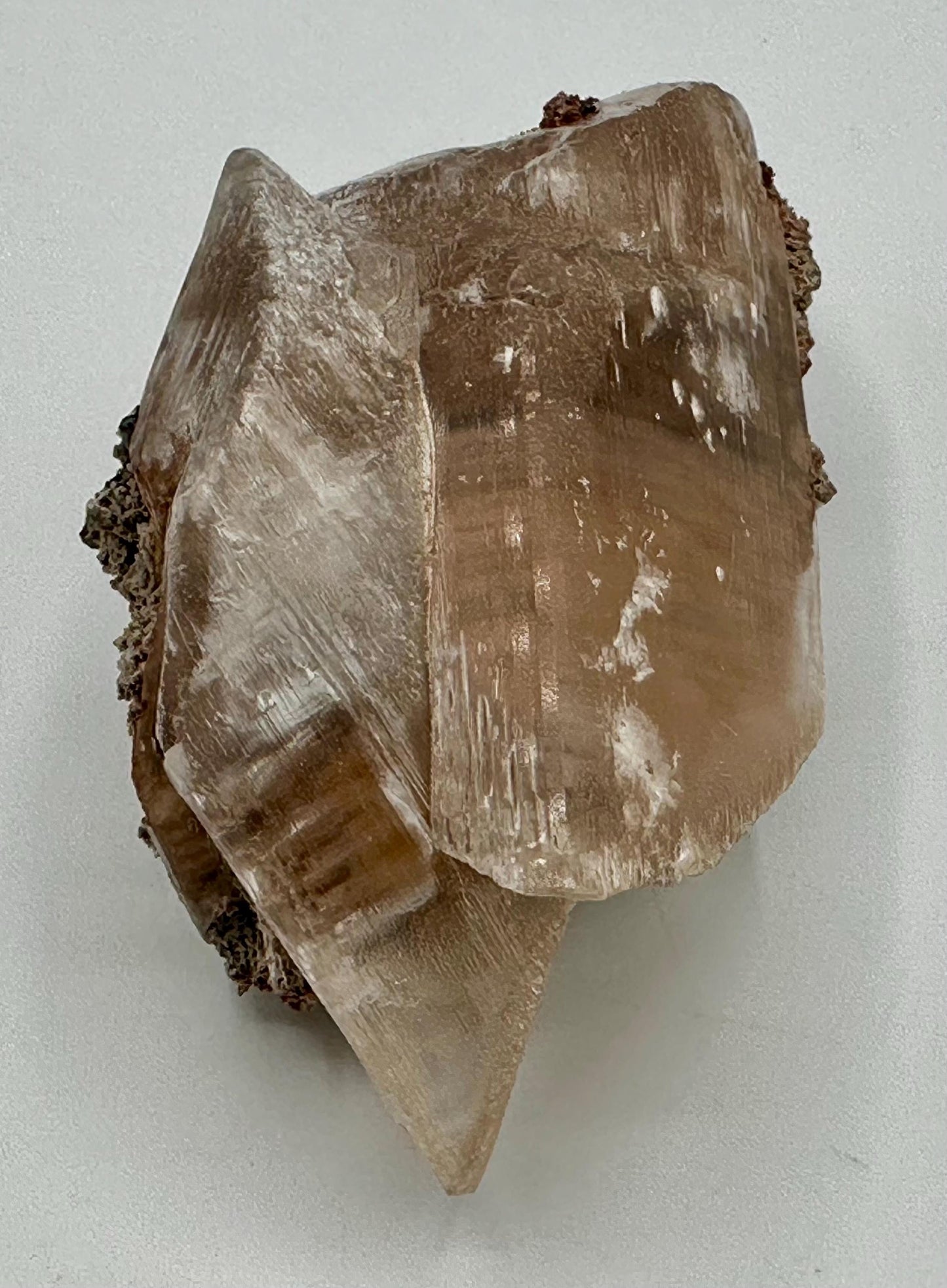 Naica Selenite Crystal with Moving Enhydro, Gypsum Selenite with Mobile Enhydro