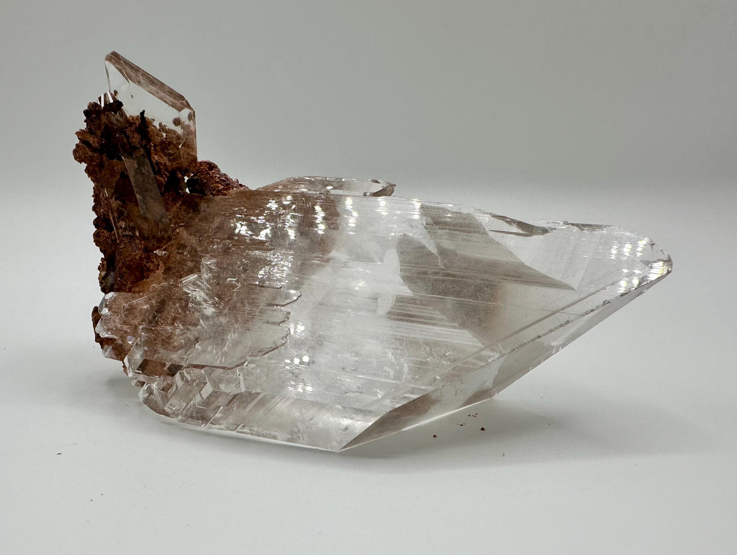 Durango Selenite Crystal Mineral Specimen with Matrix