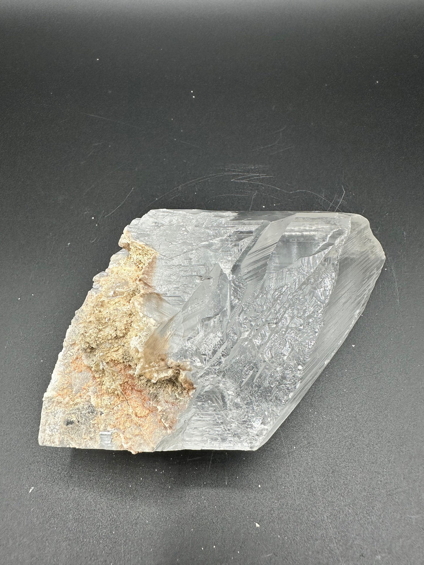 Naica Selenite Crystal Mineral Collector's Grade Specimen